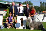 Luzern 2003 - Res, BIS. The great day for Chinese crested, for Gessi and for me. Thanks to judge and president FCI Hans W. Mller.