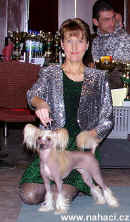 ATK winner 2003 - Ich. Gessi Modr kvt, breeder: Pospil Ji, owner: Brychtov Libue