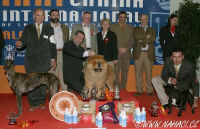 BIS at International dog show in Sevilla 2006 - Podívejte se na fotku, dva z jejích aktérů jsme potkali i v Palmě.