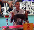 Reseve Puppy Best in Show - Youre my man of Honeycroft pana Blumela.