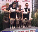 Eurodogshow FCI Pa 2002 - ch.s. Modr kvt ve zlatm! Druh neopakovateln vtzstv! 