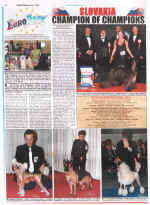 Our dogs newspaper January 5th 2007.