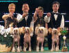 European Dog Show 2002 Paris - 1st place Modry kvet - breeders group  (Libuše Brychtová, Petr Fritsch, Markéta Šimečková, Jiří Pospíšil) 